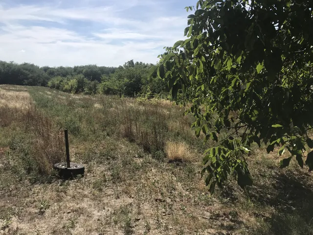 Eladó telek Gyömrő, Vincellér utca 2093 nm