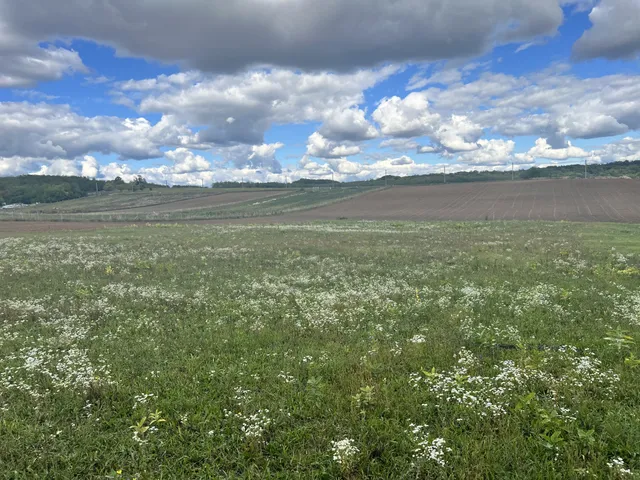 Eladó telek Őrbottyán, Őrbottyán lankás legelőin utca 11331 nm