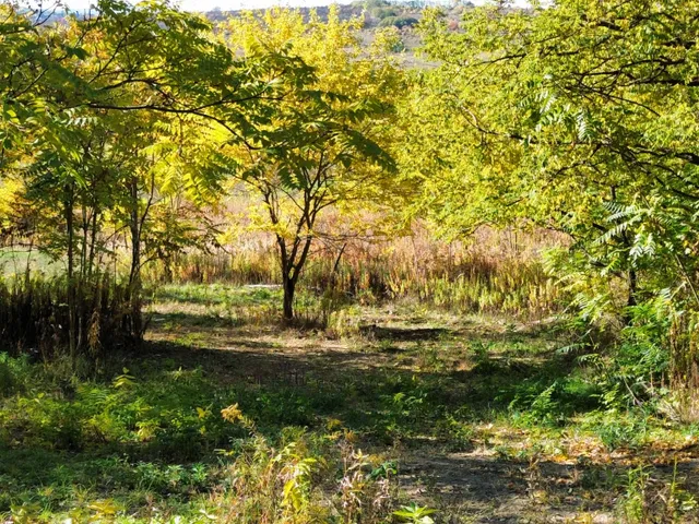Eladó telek Őrbottyán, nincs utca 11091 nm