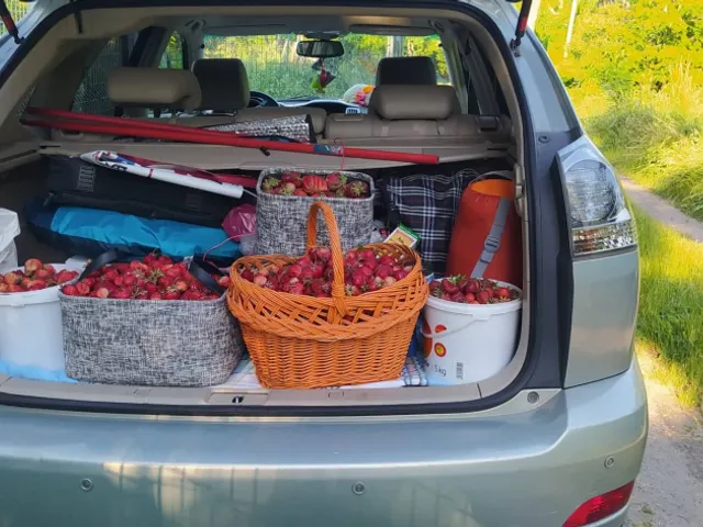 Kiadó telek Budapest XVII. kerület 1000 nm