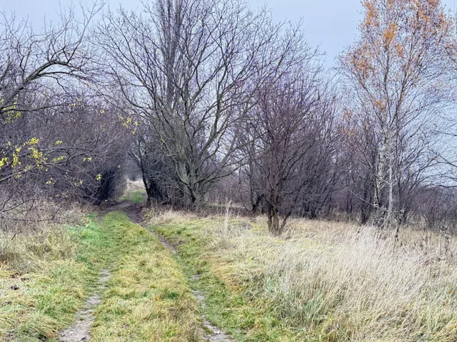 Eladó telek Budapest XVII. kerület, Kopolya utca 1010 nm