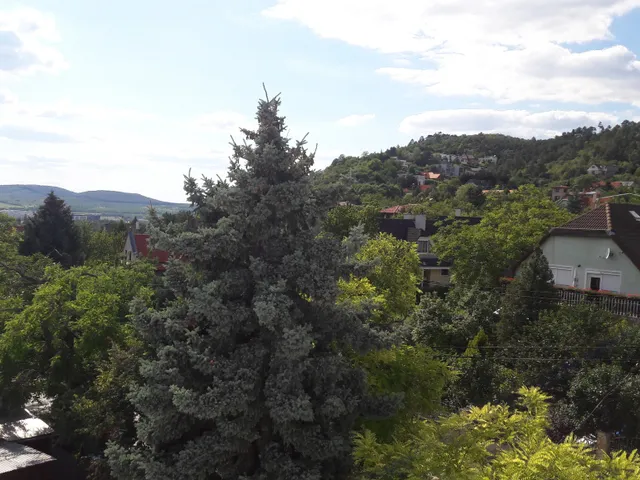 Eladó ház Budaörs 118 nm