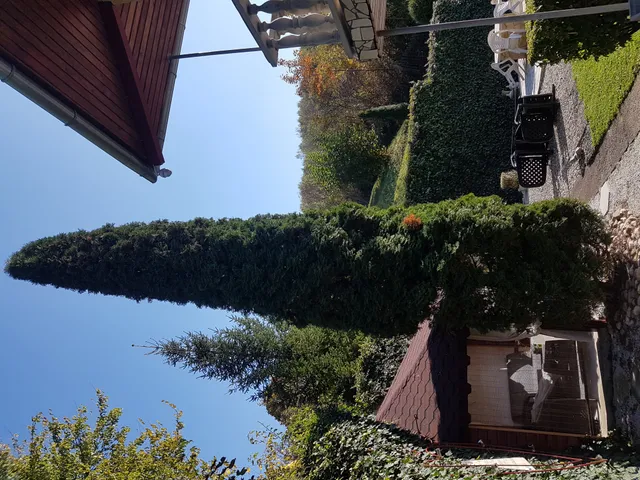 Eladó kereskedelmi és ipari ingatlan Ózd, Vasvár út