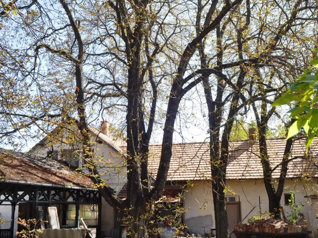 Eladó kereskedelmi és ipari ingatlan Piliscsaba 260 nm