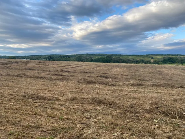 Eladó telek Gödöllő 3000 nm