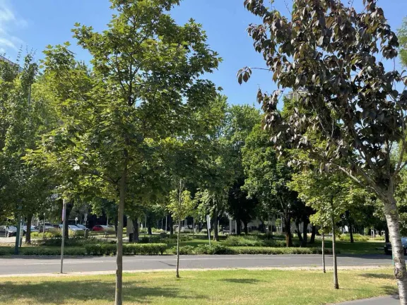 Eladó lakás Budapest XIII. kerület 81 nm