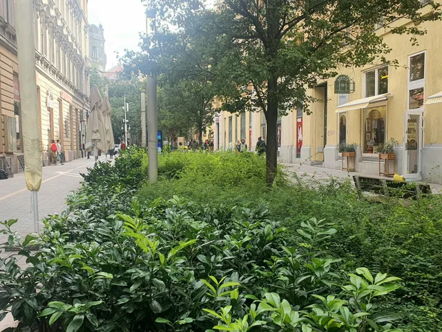 Kiadó lakás Budapest XIII. kerület 92 nm