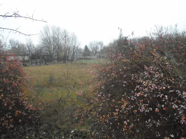 Eladó telek Tiszakécske, Hattyú utca 363 nm