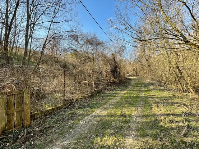 Eladó telek Vác, Szarvasbogár utca 5122 nm