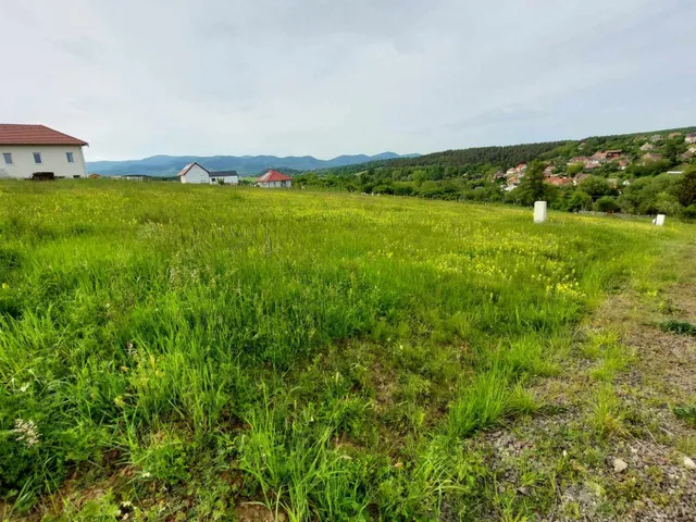 Eladó telek Berkenye 1125 nm