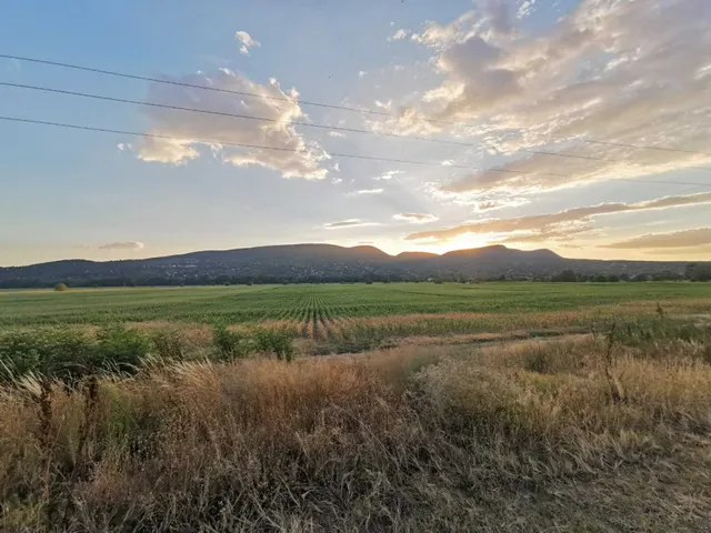 Eladó telek Pócsmegyer, Surány 887 nm