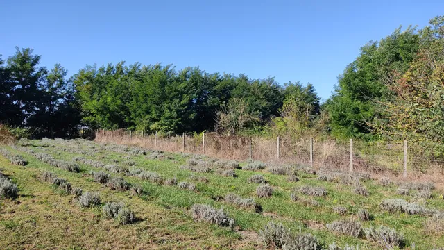 Eladó telek Perkáta, Bajcsy-Zsilinszky utca 970 nm