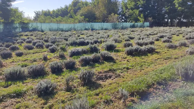 Eladó telek Perkáta, Bajcsy-Zsilinszky utca 970 nm