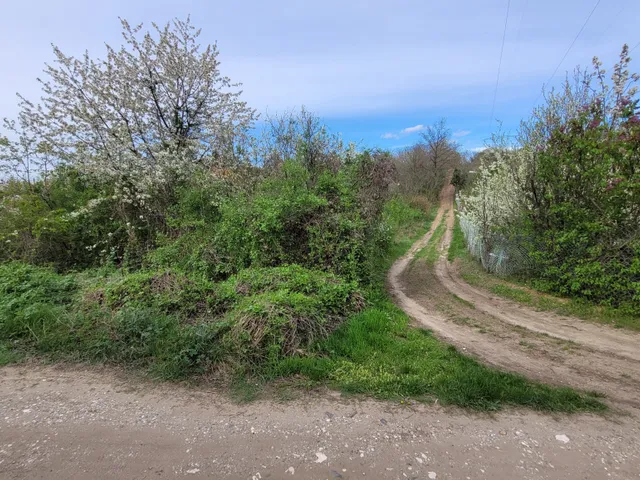 Eladó telek Gödöllő 1900 nm