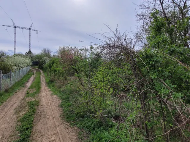 Eladó telek Gödöllő 1900 nm