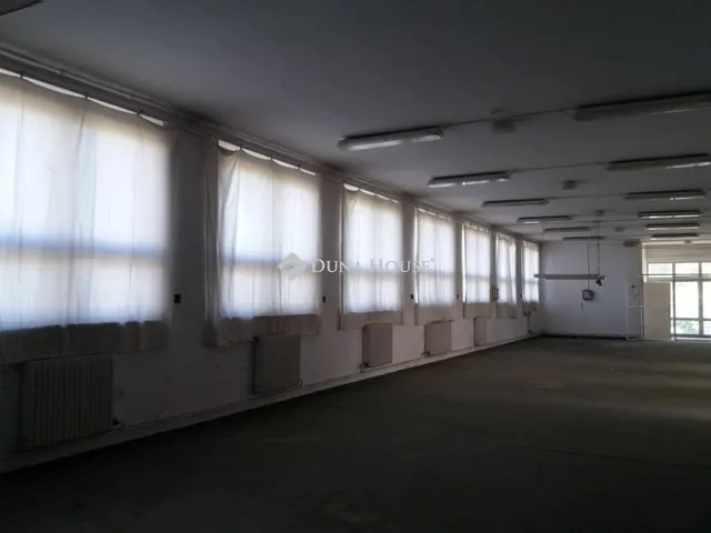 Kiadó kereskedelmi és ipari ingatlan Nyíregyháza, Derkovits Gyula utca 351 nm