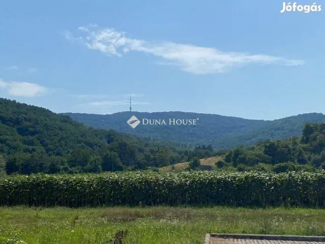 Eladó telek Tokaj 38556 nm