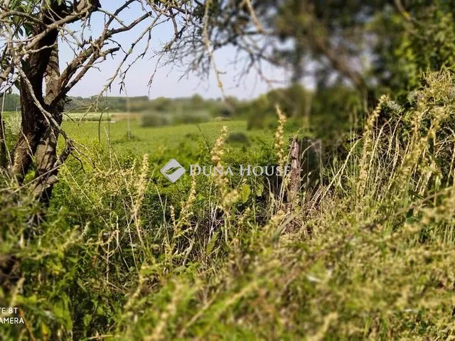Eladó kereskedelmi és ipari ingatlan Tokaj, Csurgó völgy 38556 nm