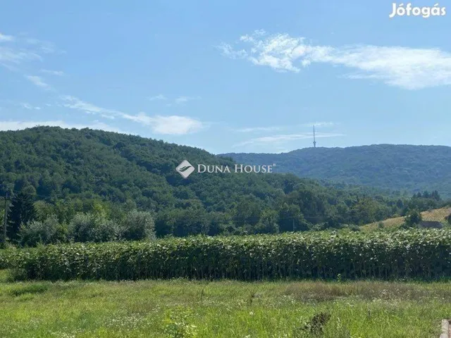 Eladó kereskedelmi és ipari ingatlan Tokaj, Csurgó völgy 38556 nm