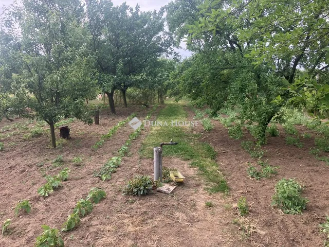 Eladó telek Nyíregyháza 1716 nm