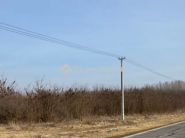 Eladó mezőgazdasági ingatlan Nyírbogdány 309341 nm