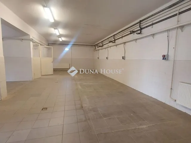Kiadó mezőgazdasági ingatlan Nyíregyháza 220 nm