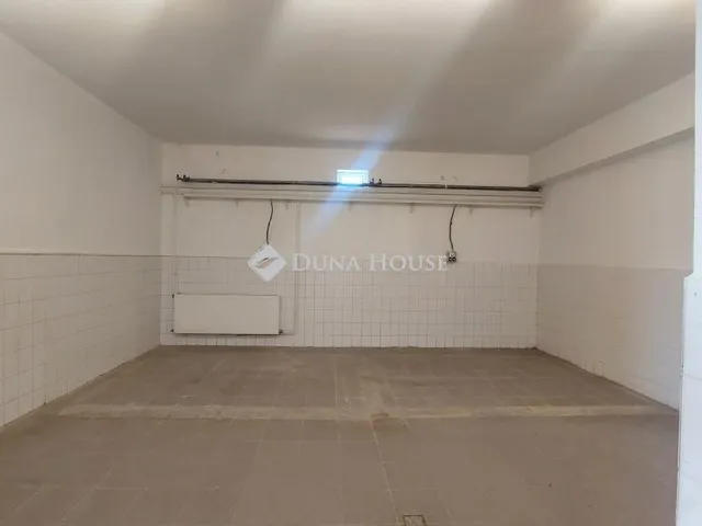 Kiadó mezőgazdasági ingatlan Nyíregyháza 220 nm