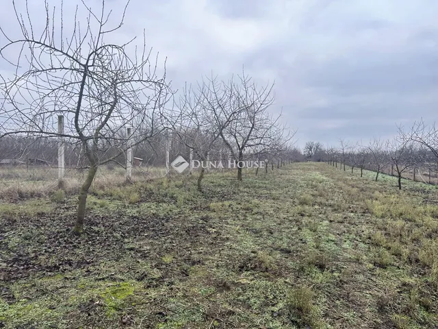 Eladó telek Nyíregyháza, Tamás utca 3930 nm