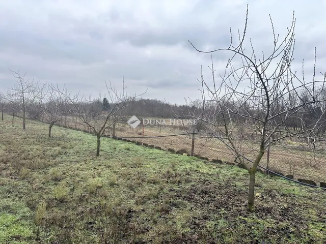 Eladó telek Nyíregyháza, Tamás utca 3930 nm