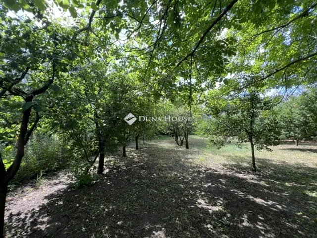 Eladó telek Nyíregyháza 848 nm