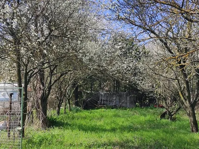 Eladó mezőgazdasági ingatlan Győr 1317 nm