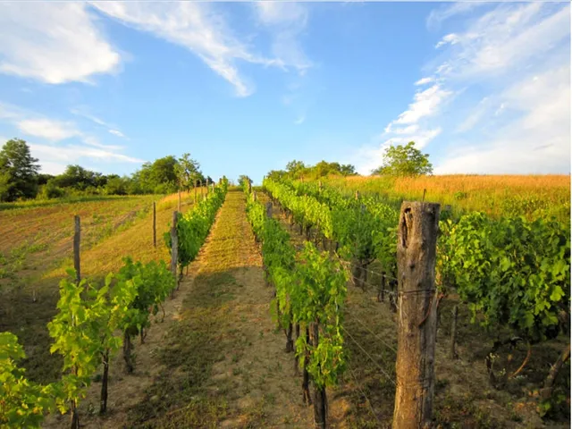 Eladó mezőgazdasági ingatlan Kehidakustány 4483 nm