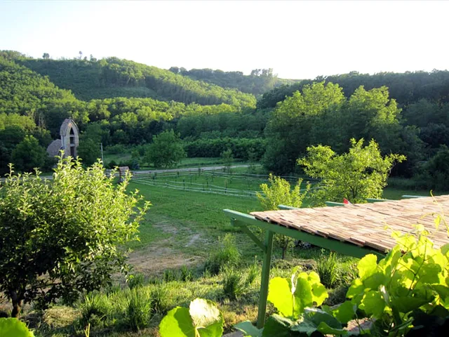 Eladó mezőgazdasági ingatlan Kehidakustány 4483 nm