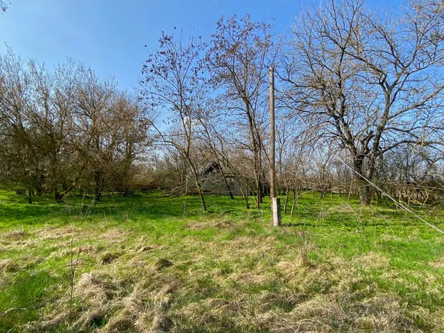 Eladó mezőgazdasági ingatlan Fülöpháza 50 nm