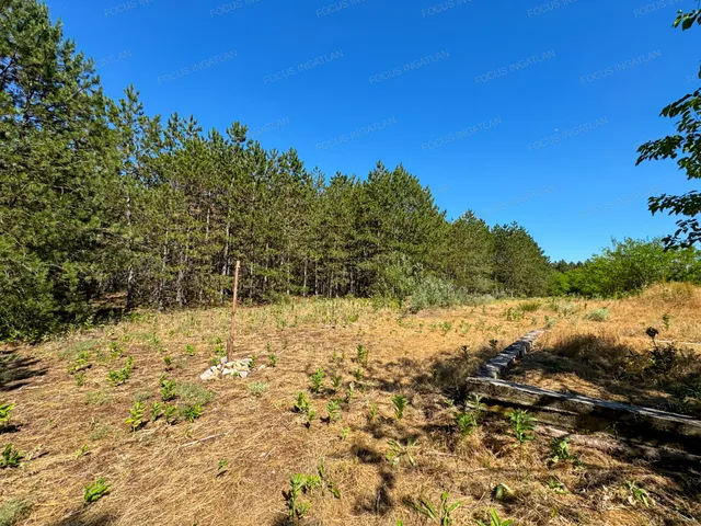 Eladó telek Kecskemét, Szarkás 2877 nm