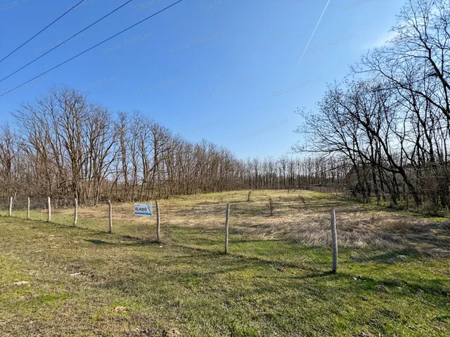 Eladó telek Lajosmizse 7229 nm