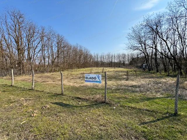 Eladó telek Lajosmizse 7229 nm