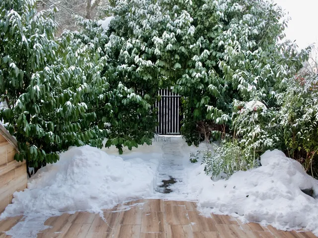 Eladó lakás Budapest XII. kerület, Kútvölgy 178 nm
