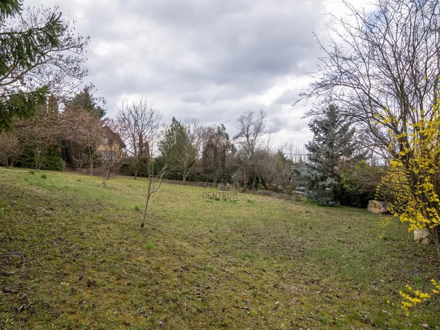 Eladó telek Telki 1251 nm