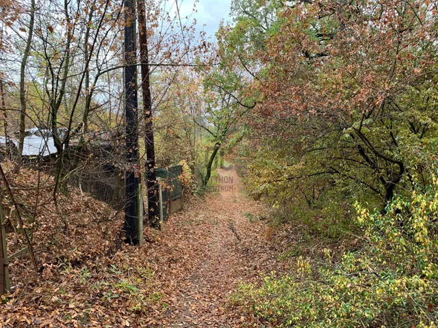 Eladó telek Budakeszi 1054 nm