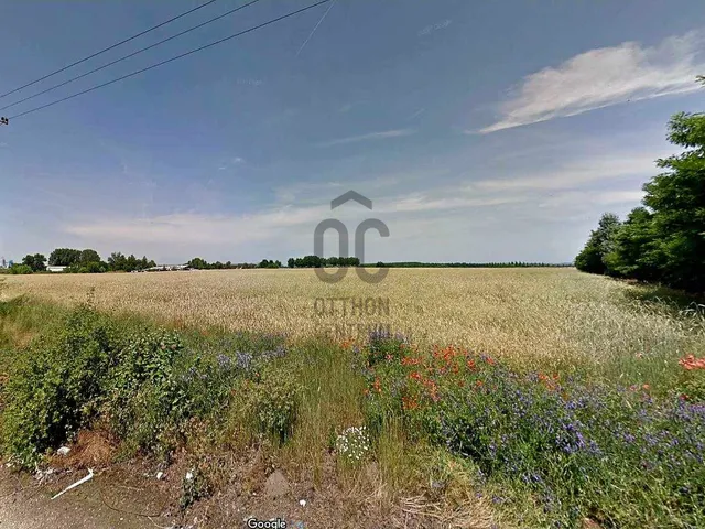 Eladó telek Üllő 7589 nm