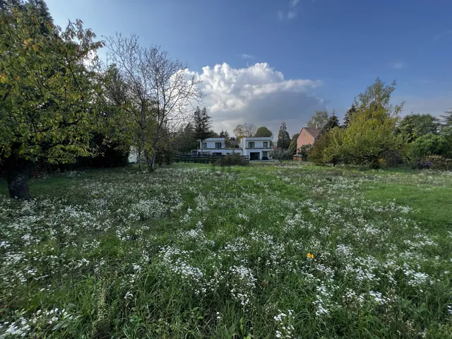 Eladó telek Budapest II. kerület, Hársakalja 713 nm