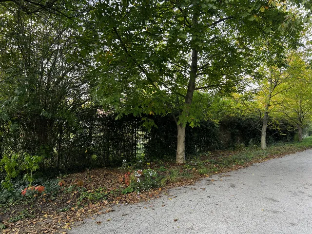 Eladó telek Budapest II. kerület, Hársakalja 713 nm
