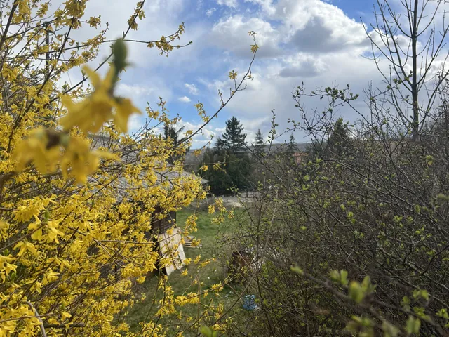 Eladó telek Nagykovácsi 790 nm