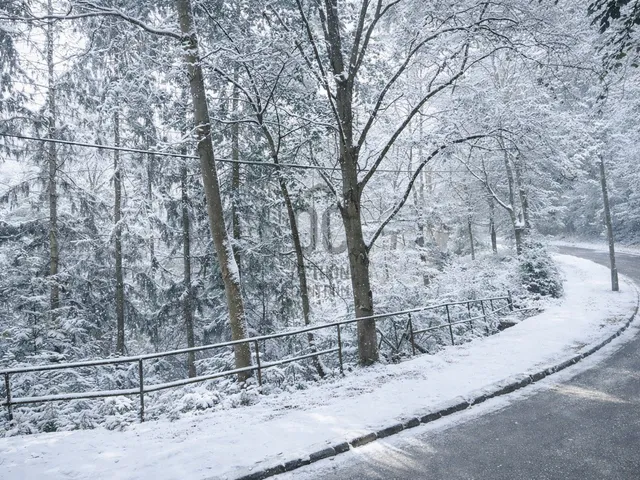 Eladó telek Budapest XII. kerület, Zugliget 2213 nm