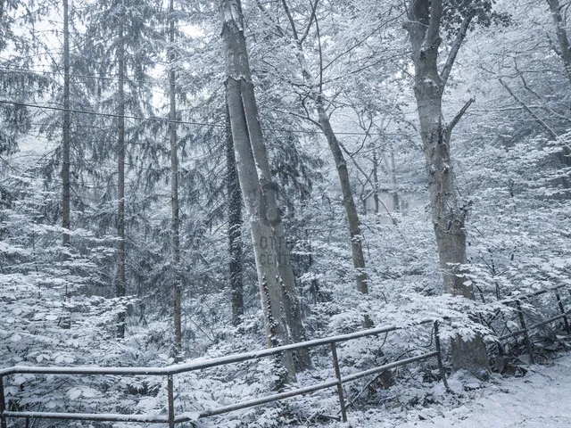 Eladó telek Budapest XII. kerület, Zugliget 2213 nm