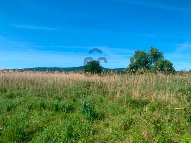 Eladó mezőgazdasági ingatlan Pomáz 17900 nm