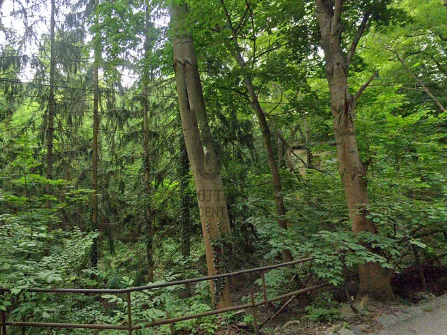 Eladó telek Budapest XII. kerület, Zugliget 2213 nm