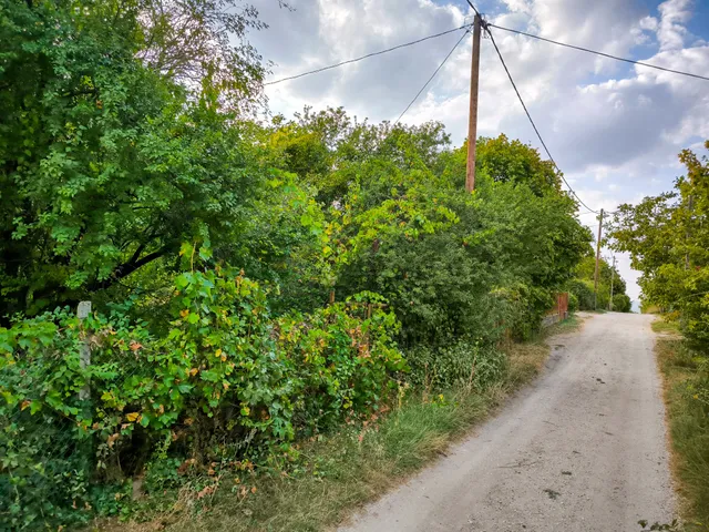 Eladó telek Budapest III. kerület, Csúcshegy 955 nm