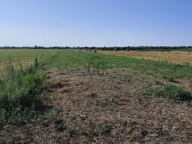 Eladó mezőgazdasági ingatlan Szigetszentmiklós, Lakihegy 8362 nm